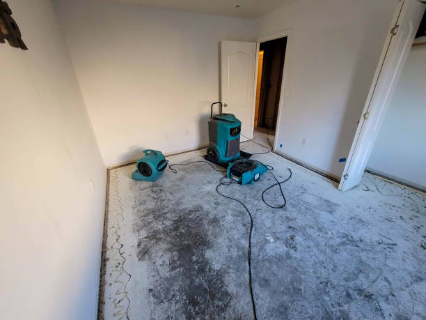 Best Water damage restoration specialists  in Lmdale, PA