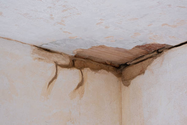 Best Local water damage restoration  in Lmdale, PA