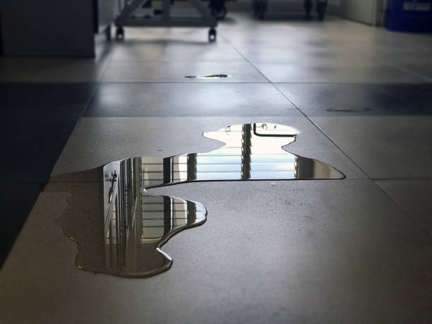 Best 24-hour water damage restoration  in Lmdale, PA