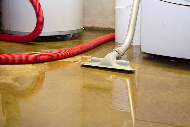 Best Mold removal after water damage  in Lmdale, PA