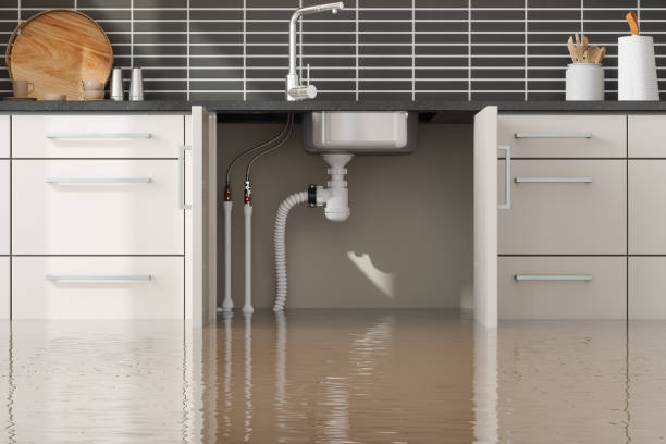 Best Water damage repair service  in Lmdale, PA