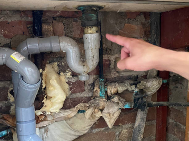 Best Professional water damage repair  in Lmdale, PA